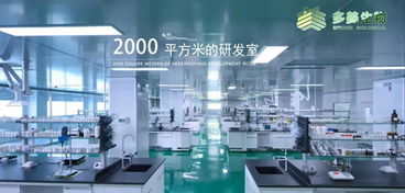 多美生物 技術(shù)賦能，實(shí)現(xiàn)“今日下單，明日出貨”的極致效率